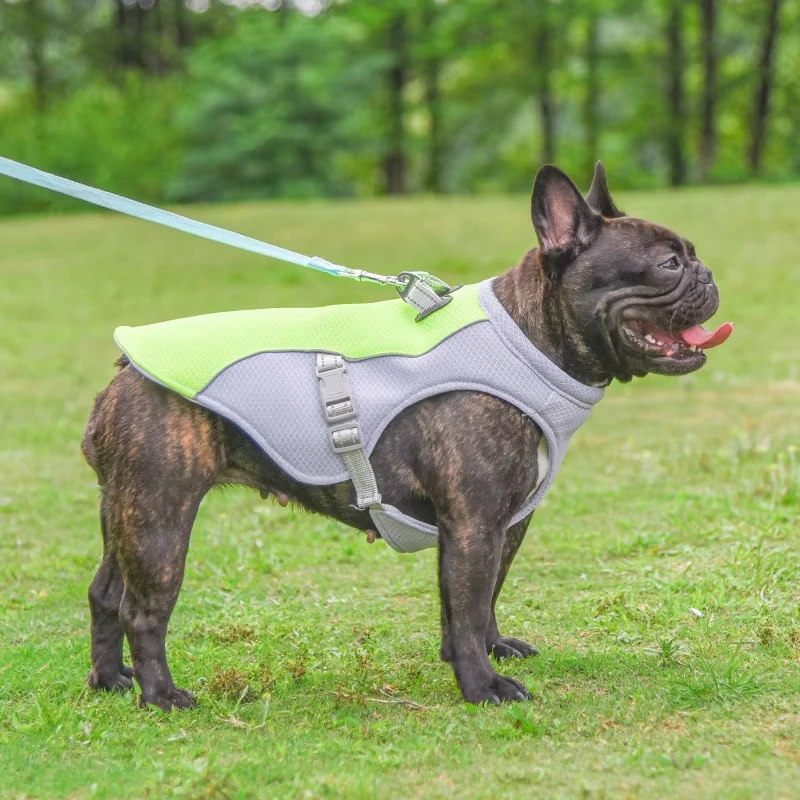 wholesale Alta calidad, transpirable, ligero, reflectante, de verano, para mascotas, chaleco para perros y cachorros, arnés verde 1