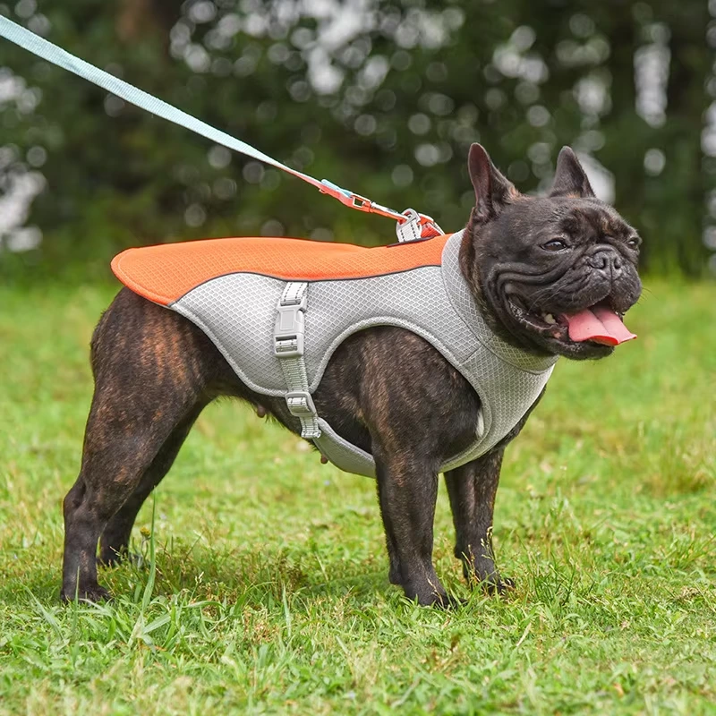 groothandel Hoge kwaliteit ademend lichtgewicht zomer reflecterend huisdier koelhond en puppy vestharnas oranje 1