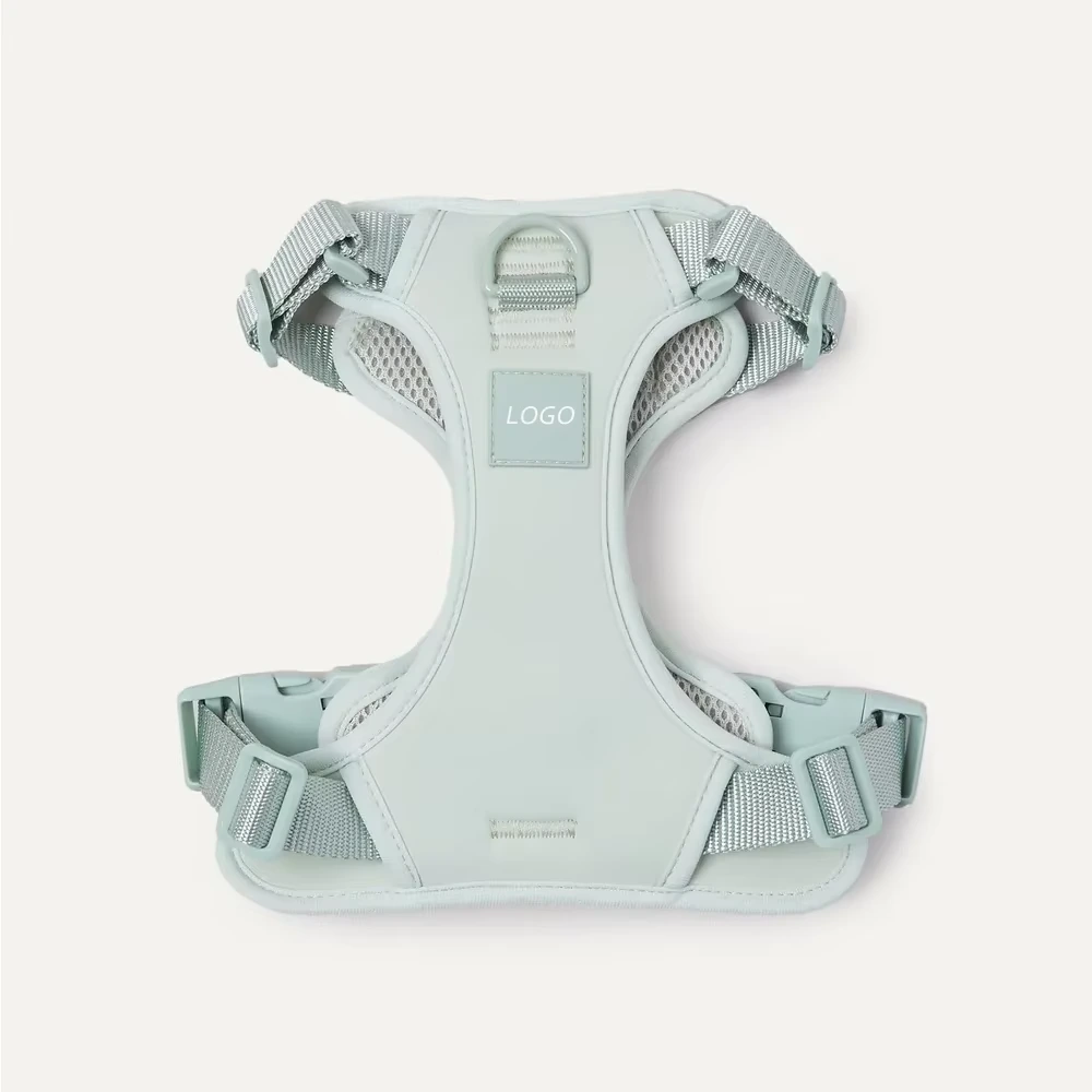 wholesale Custom Adjustable No Pull Breathable Soft Air Mesh Dog Harness Wholesale Dog Collar Front Clip Easy Control Harness  blue 1