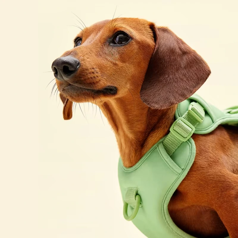 wholesale Custom Adjustable No Pull Breathable Soft Air Mesh Dog Harness Wholesale Dog Collar Front Clip Easy Control Harness green 1