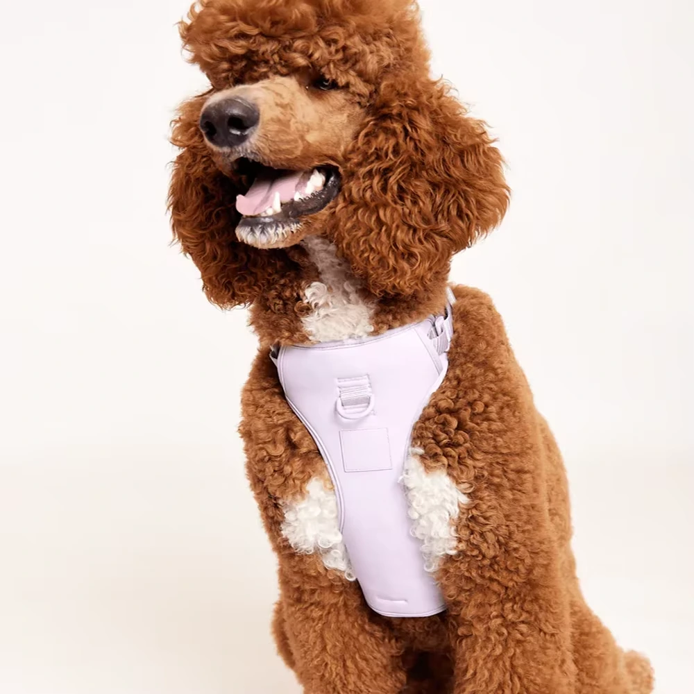 wholesale Custom Adjustable No Pull Breathable Soft Air Mesh Dog Harness Wholesale Dog Collar Front Clip Easy Control Harness 1