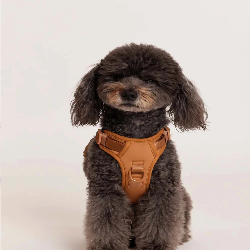 wholesale Custom Adjustable No Pull Breathable Soft Air Mesh Dog Harness Wholesale Dog Collar Front Clip Easy Control Harness brown Teddy 1