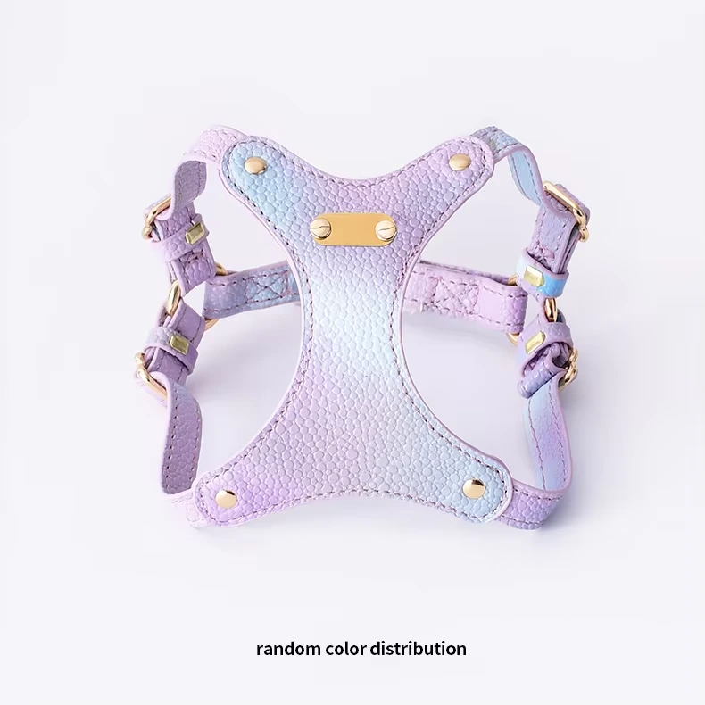 Luxe nieuw design hondenharnas set, gepersonaliseerde waterdichte pu lederen kat hondenharnas en riem set paars 1