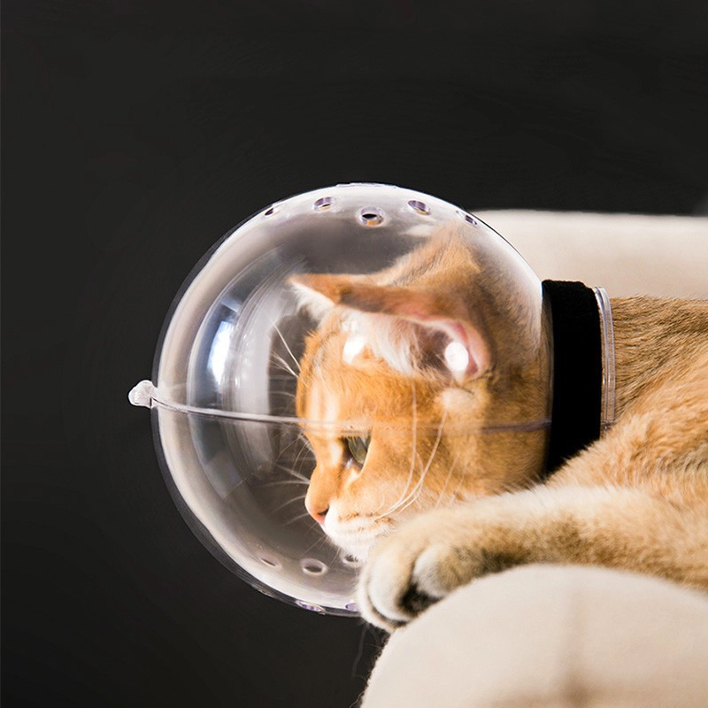 groothandel Kattensnuit met nagelknipper Trimmerset Ademende kat Verstelbare capuchon Ademende anti-bijtmuilkorven cirkel 1