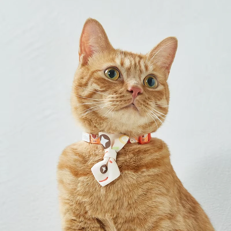 wholesale new design style personalized design safety buckle separation belt bell pet collar cat collar white 1