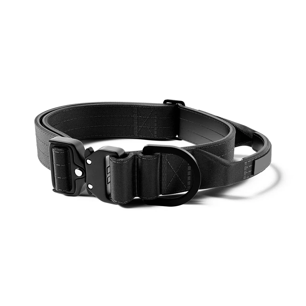 groothandel 2 inch zware halsband de nylon verstelbare duurzame halsband metalen gesp met handvat zwart 1