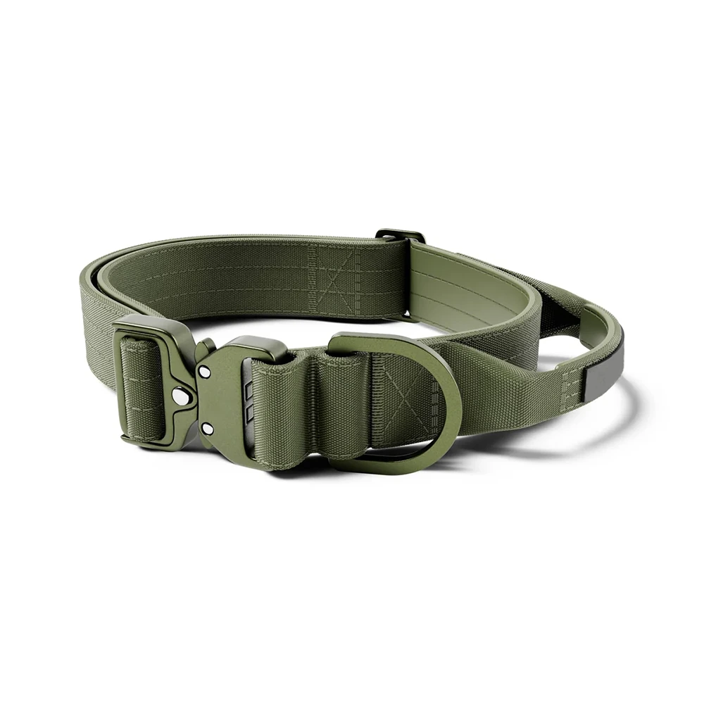 wholesale Collar de perro resistente ajustable de 2 pulgadas con hebilla de metal y mango verde 1