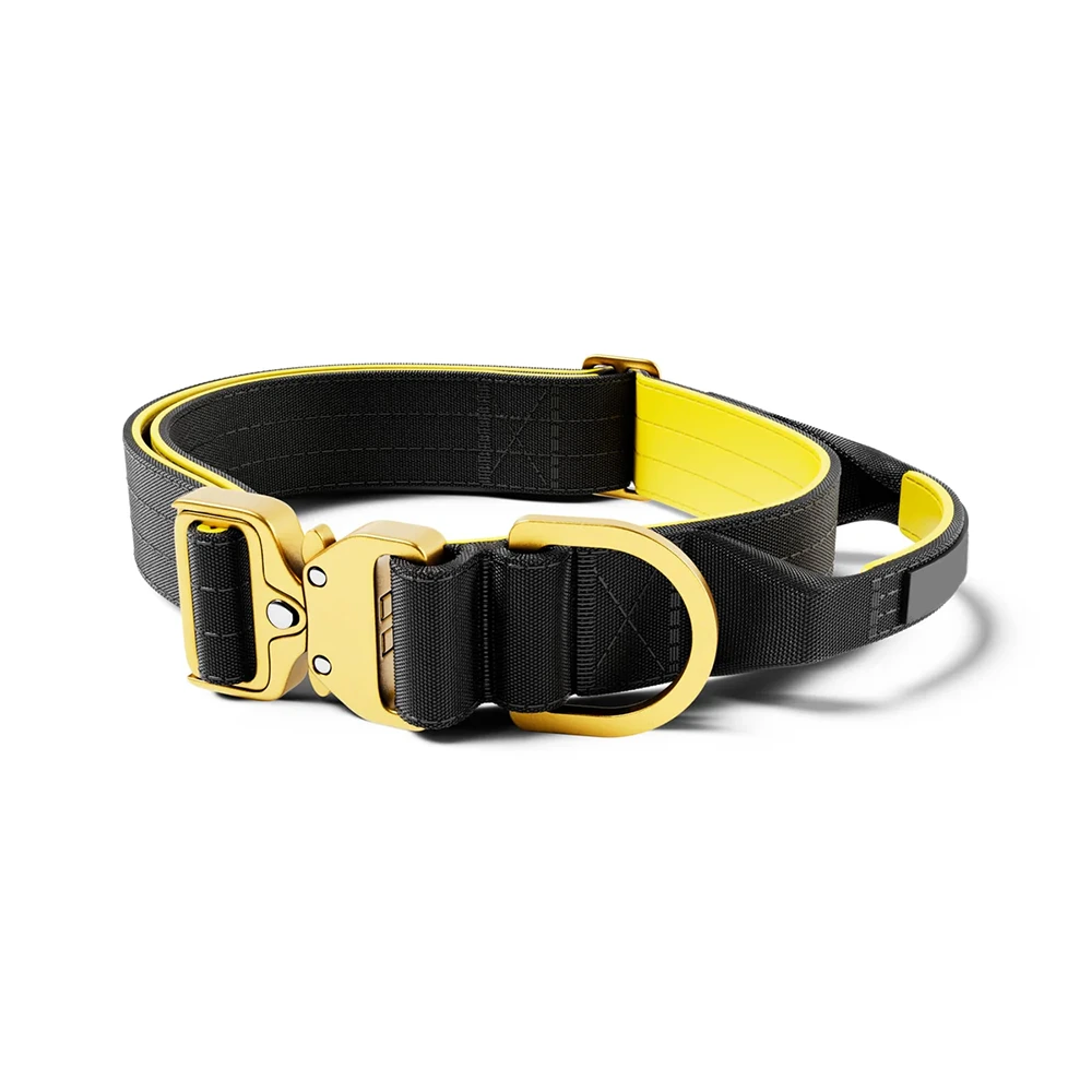 groothandel 2 inch zware halsband de nylon verstelbare duurzame halsband metalen gesp met handvat geel 1