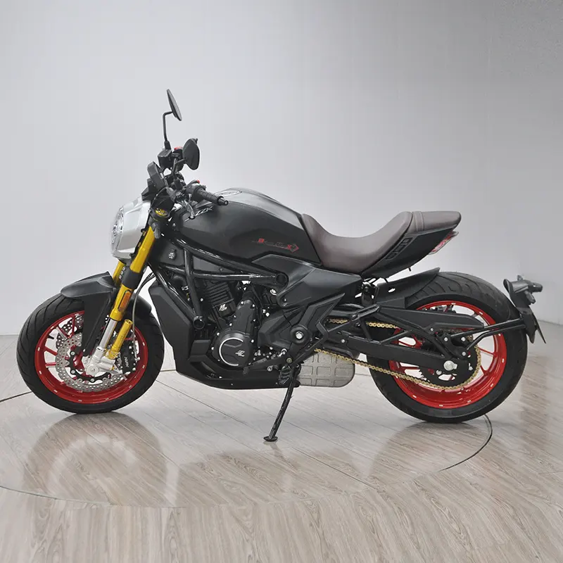 Custom Motorcycle for Sale Supplier-1 5