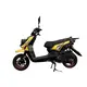 Custom Gas Powered Scooter Adult MOTOMAXXIS Manufacture 3