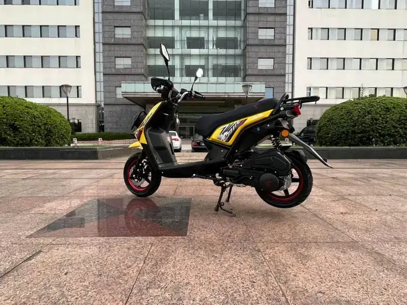 Custom Gas Powered Scooter Adult MOTOMAXXIS Manufacture 6