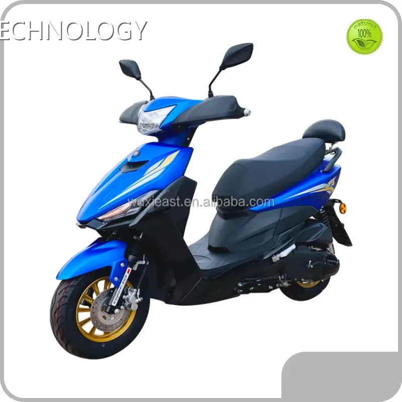 Gas Powered Scooter Adult Disc Brake/Drum Brake MOTOMAXXIS 1