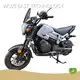 Custom Gas Scooters for Adults Gas Scooters for Adults Company 1