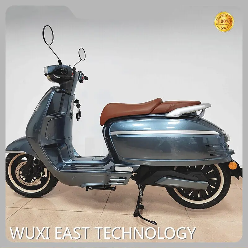 Ebike Motorcycle MOTOMAXXIS 1