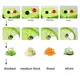 Hot Apple Peeler Spiralizer Brand 5