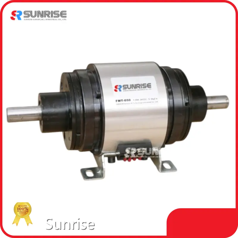 Electromagnetic Powder Brake 7-10 Days by Sunrise 1
