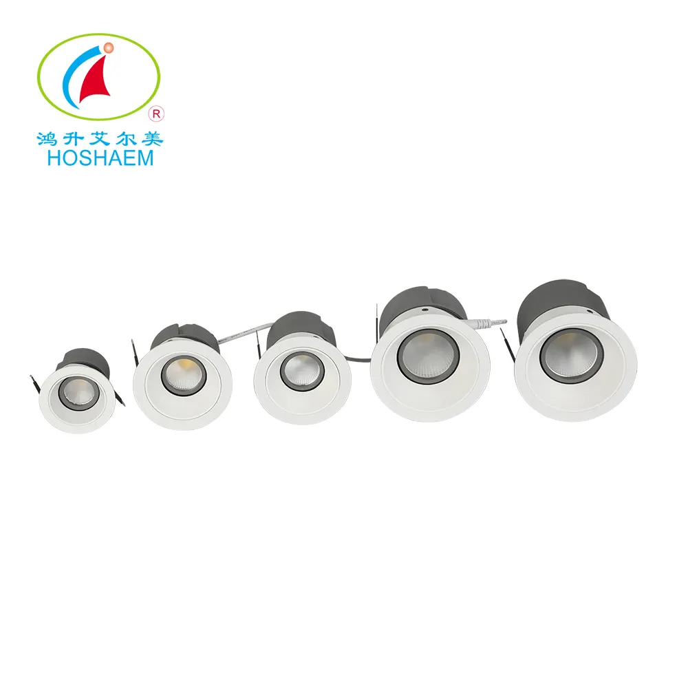 HOSHAEM Best Led Downlights for Home Manufacturers 2