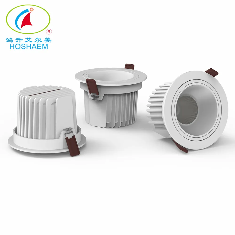 Illuminate Your Space With Cool White LED Downlights 1