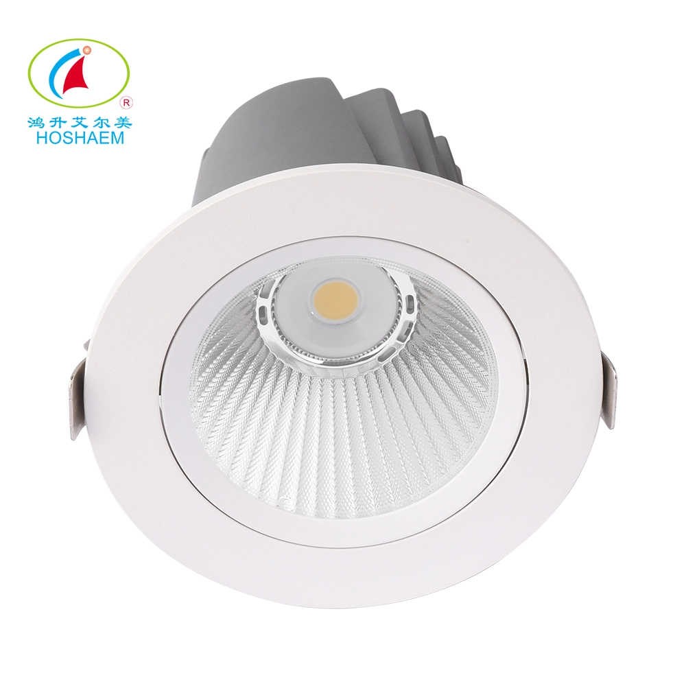Il centro commerciale commerciale utilizza la decorazione da incasso incorporata 20W Down Light IP20 Downlight moderni a soffitto per l'ufficio dell'hotel 1