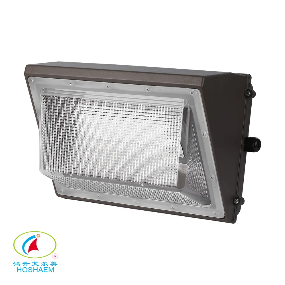Adjustable Led Wall Pack by HOSHAEM 5
