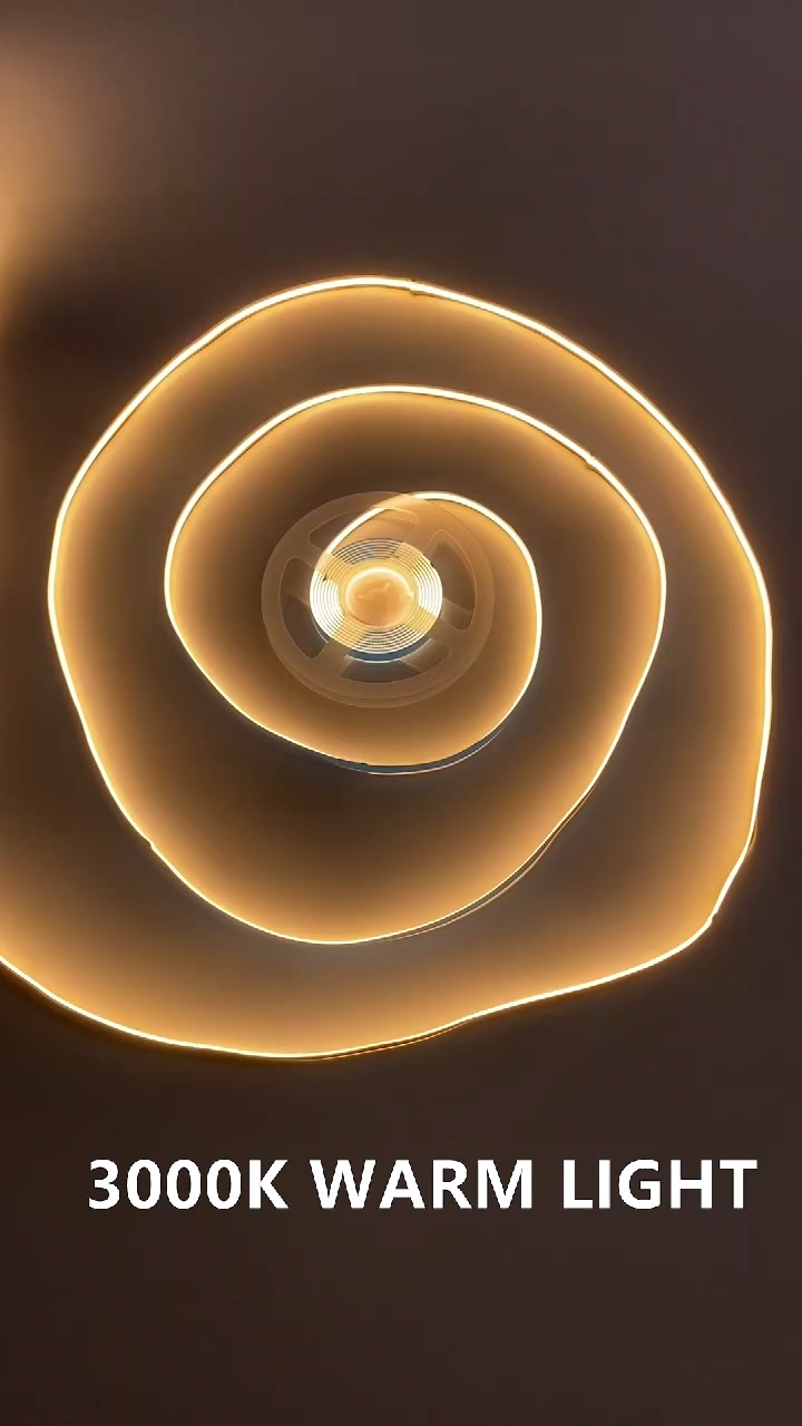Hongsheng HOSHAEM COB LED Strip Light 3000K Warm Light 24V IP20 CRI＞90 5M 16.4ft Lighting Factory 1