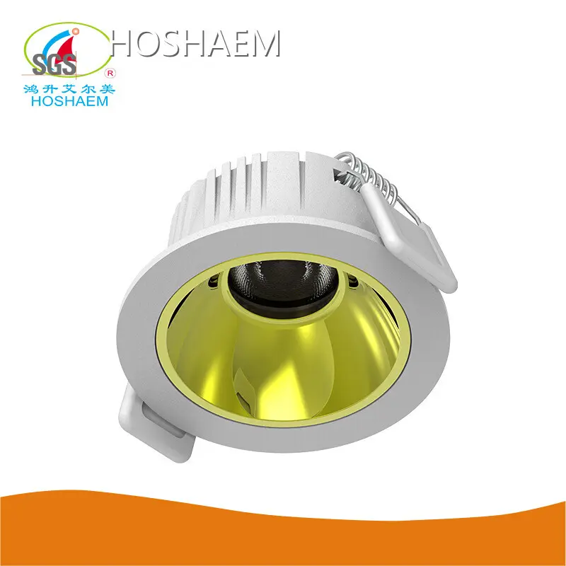 Hot Small Diameter Led Downlights HOSHAEM Brand 1