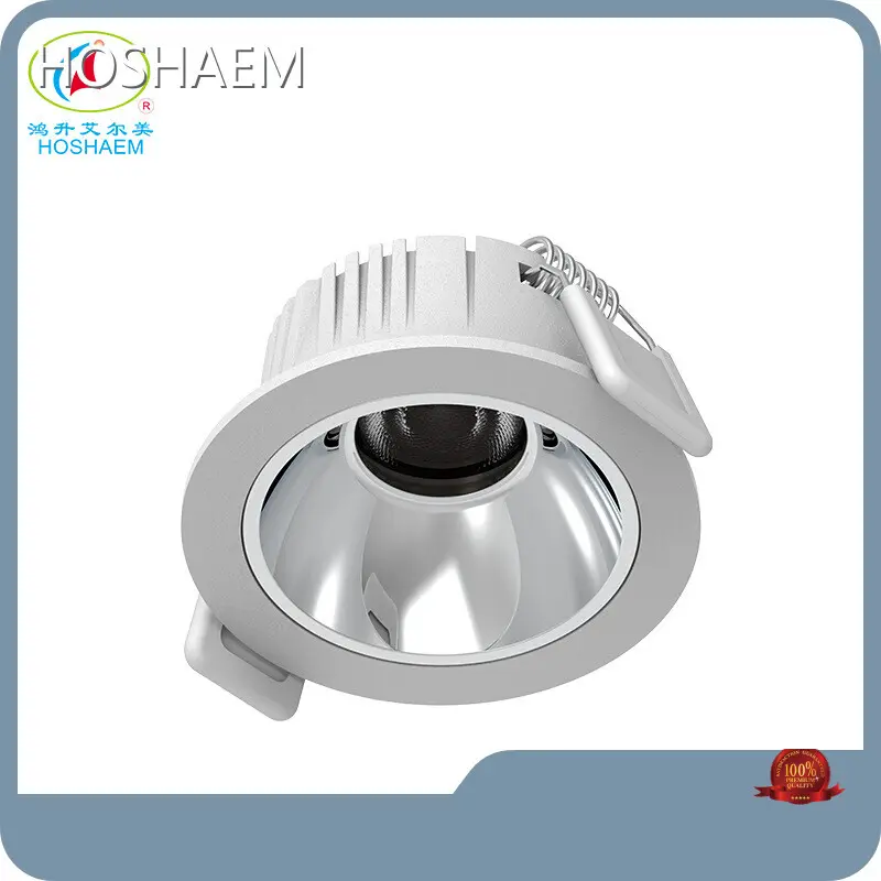 HOSHAEM Brand Best Led Spotlights for Kitchen Supplier 1