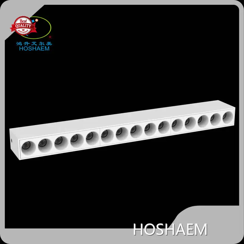 Suspended Linear Light HOSHAEM Company 1