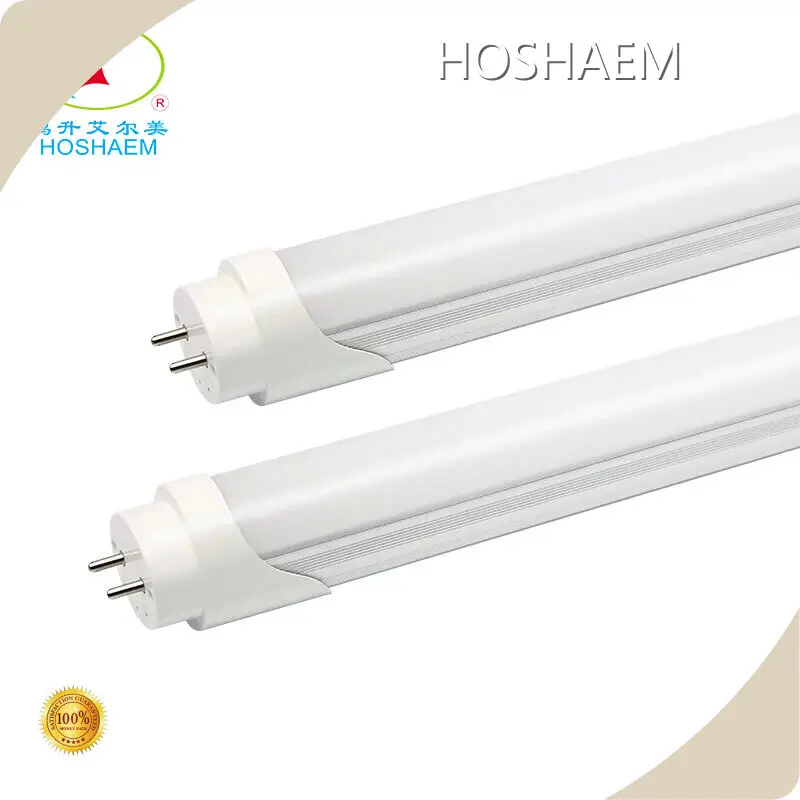 Latest Led Tube T8 Lights Supply 1