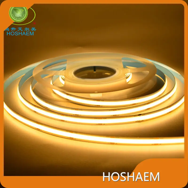 Top Led Strip Light Manufacturers Manufacturers 1