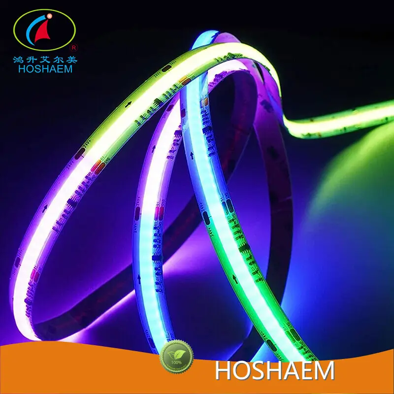 Led Strip Lights Wholesale Price HOSHAEM Company 1