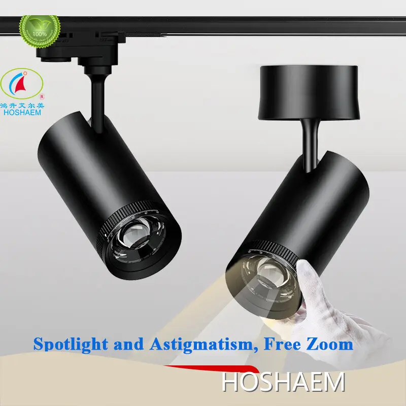 Topled Ceiling Track Lights 1