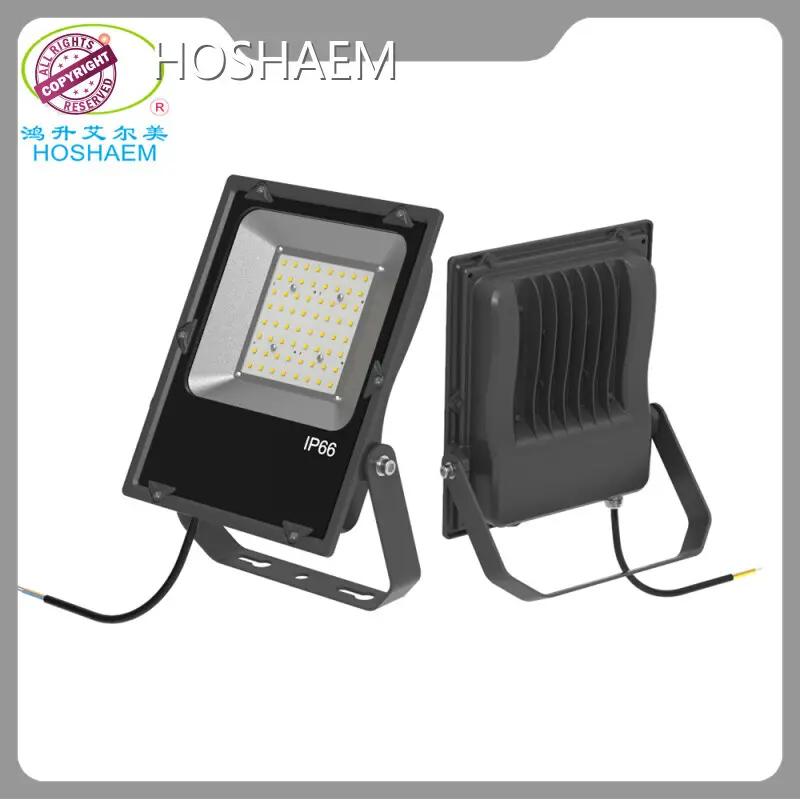 HOSHAEM Portable Outdoor Flood Lights Factory 1