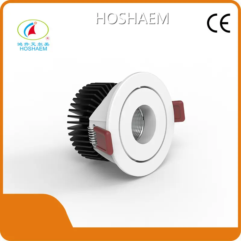 Best Small Led Downlights Company 1