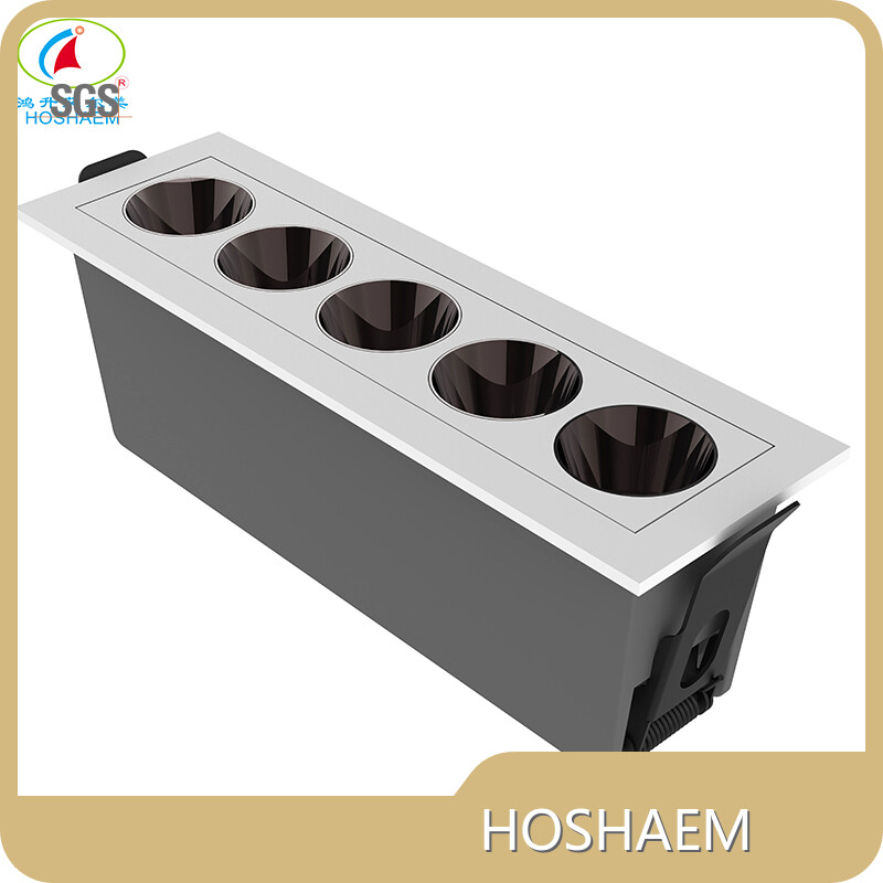 HOSHAEM Linear Light Manufacturer Linear Light ManufacturerSuppliers 1