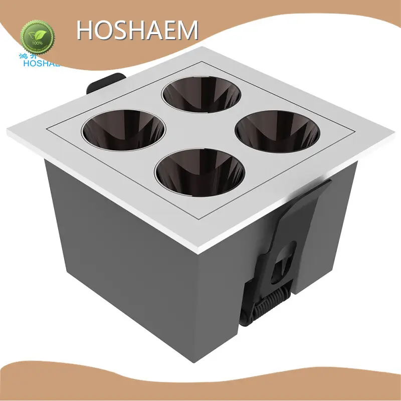 HOSHAEM Led Linear Lighting Manufacturers Company 1