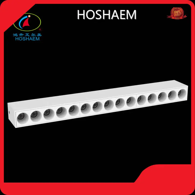 Custom Linear Hanging Light Manufacturers 1