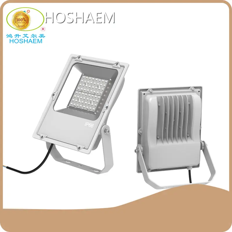 HOSHAEM Led Floodlight Supplier Led Floodlight SupplierSupply 1