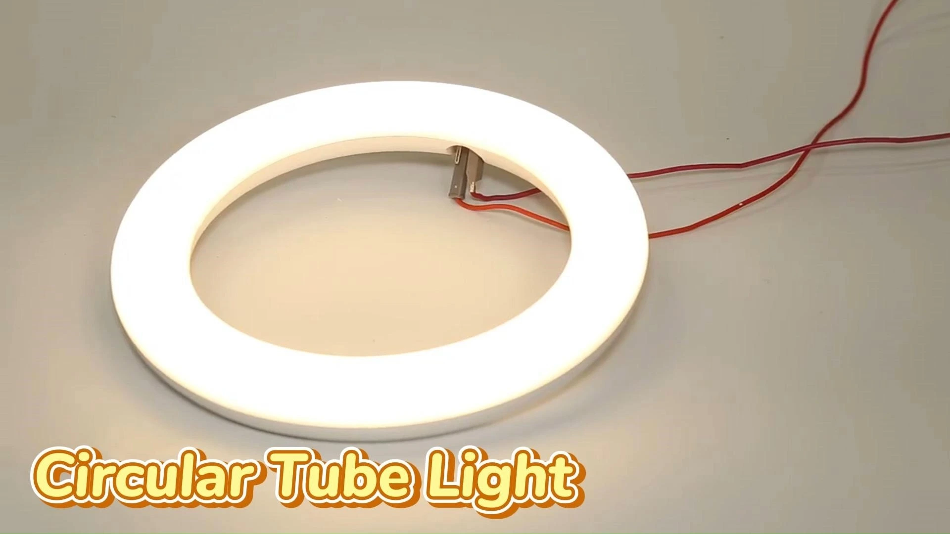 Lampadina a tubo circolare Hongsheng T9 LED 1350 lumen 10 Watt CRI80 Fabbrica di plafoniere circolari bianche fredde 1