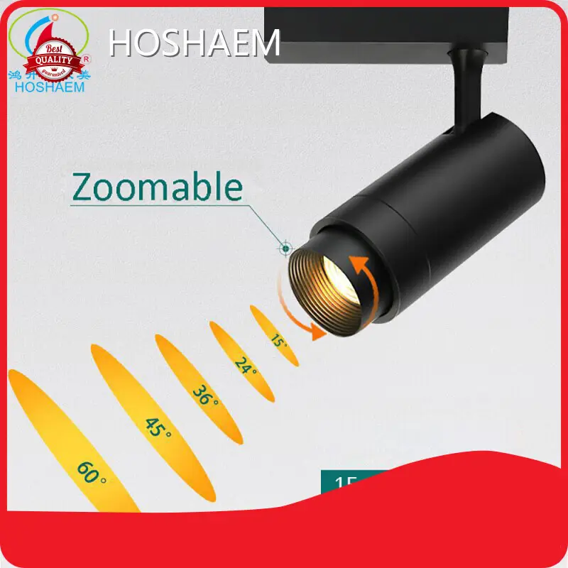 Track Light Manufacturers Factory-1 1
