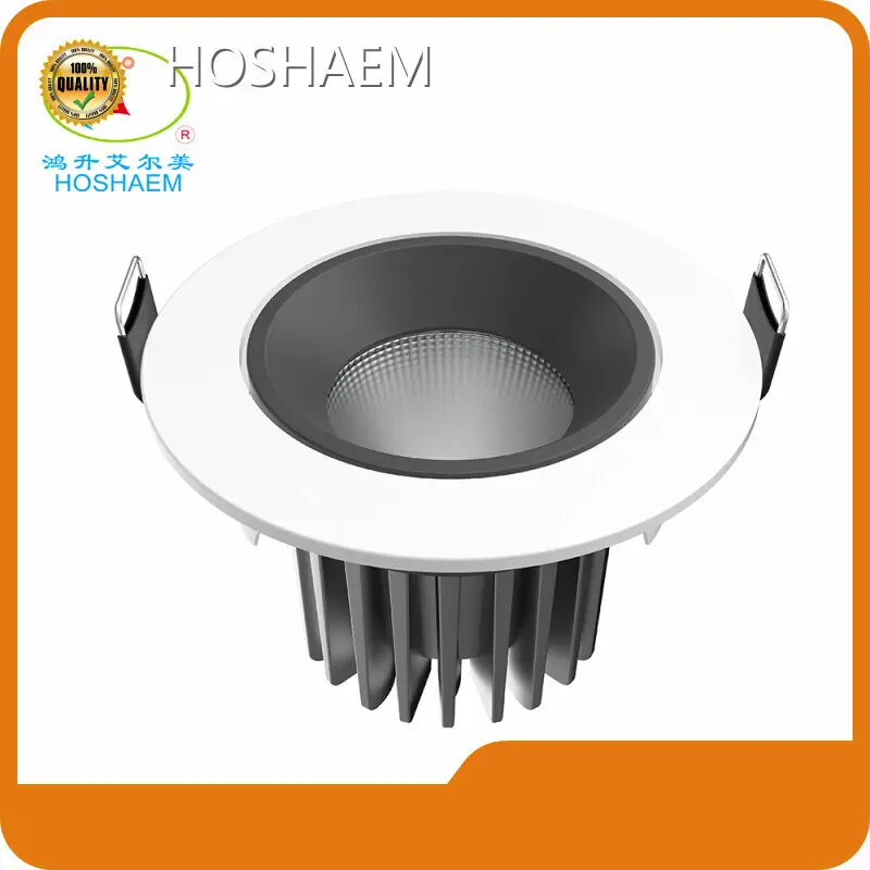 Custom Slim Led Downlights Slim Led Downlights Company 1
