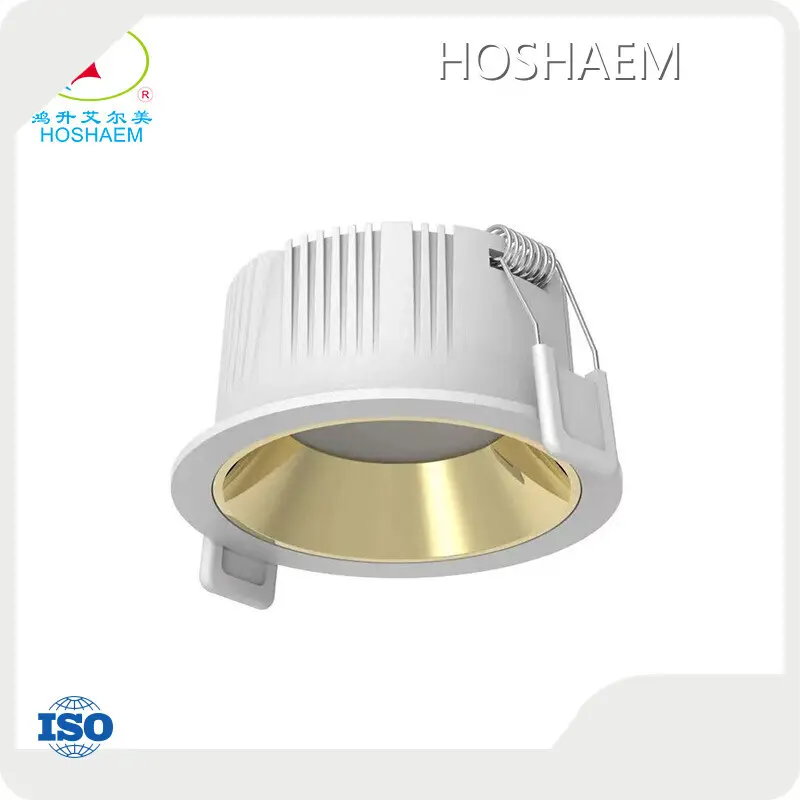 HOSHAEM Warm Led Downlights Factory 1