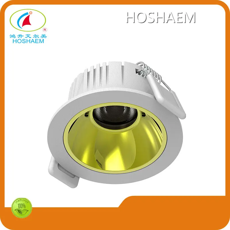 Top Rgb Led Downlights Rgb Led Downlights Company 1