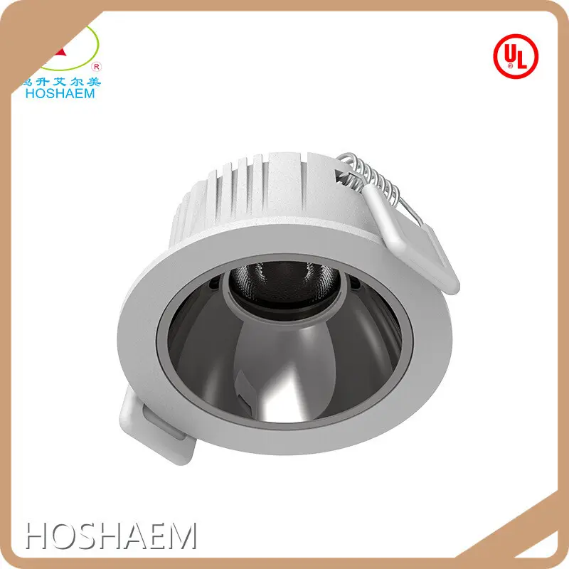 Large Led Downlights - - HOSHAEM 1