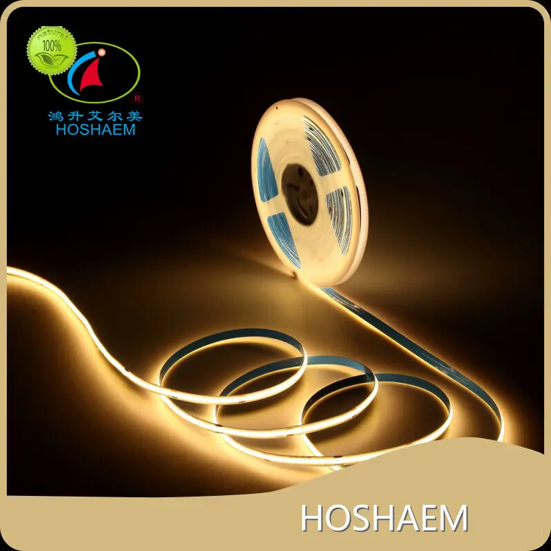 Top Led Neon Flex Suppliers 1