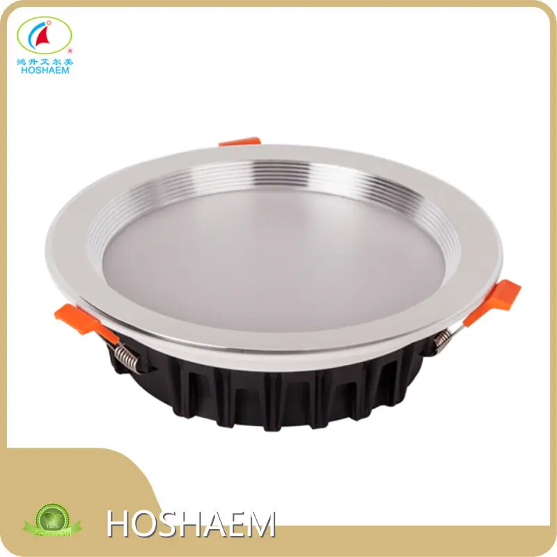 HOSHAEM Large Led Downlights Factory 1
