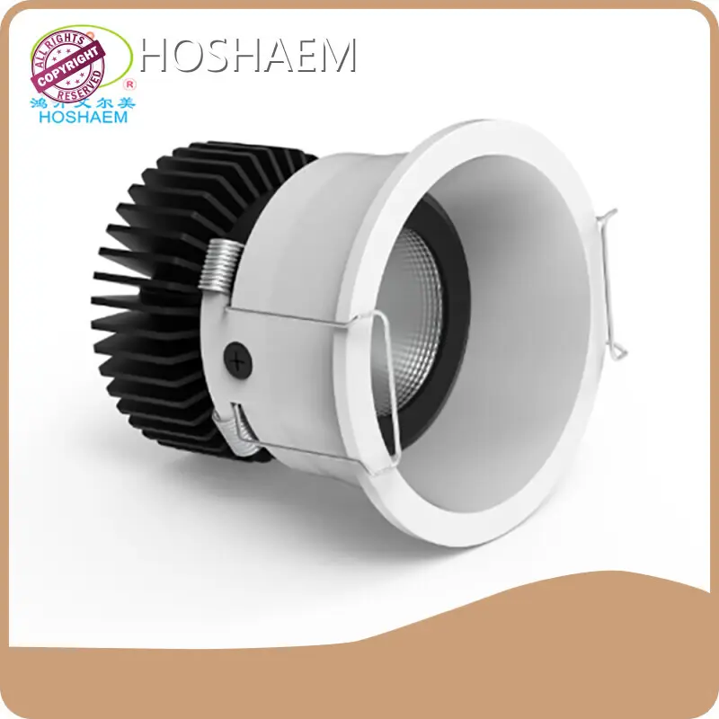 New Mini Led Downlights Company 1