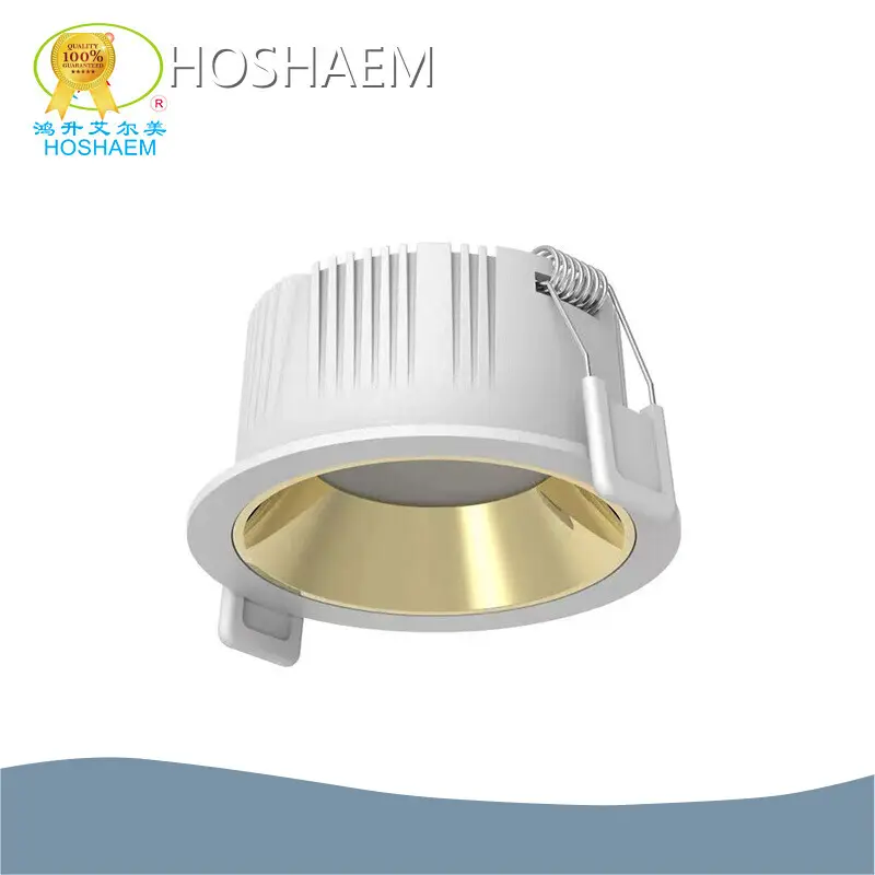 HOSHAEM White Led Downlights White Led DownlightsCompany 1