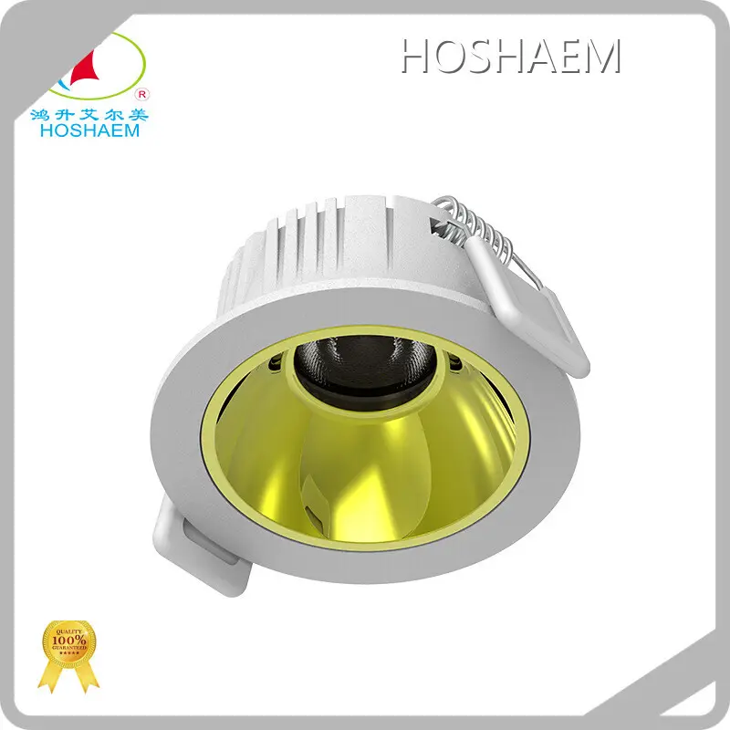 HOSHAEM Waterproof Led Downlights Supply 1