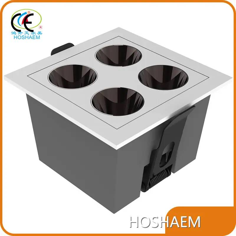 HOSHAEM Led Linear Light Supplier Company 1